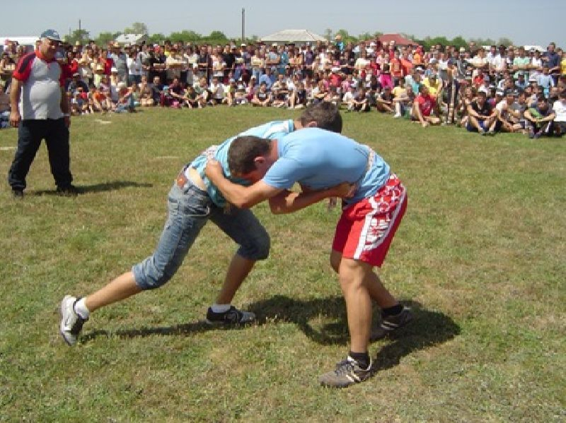 Mostenitorii din Judetul Ilfov